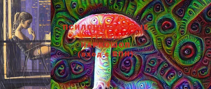 как найти закладки  Гороховец  Псилоцибиновые грибы MAGIC MUSHROOMS 